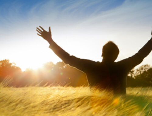 How To Build Your Resilience