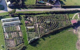 permaculture garden design