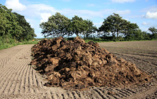 Fertiliser