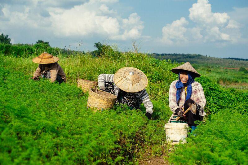 small holding farming