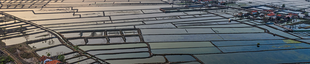 Carp Fish Farming