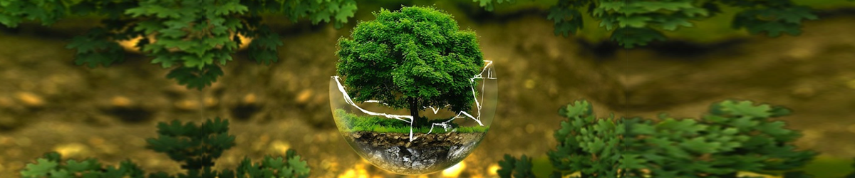 Plant Nutrient